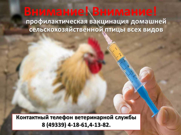 Внимание! Внимание! Профилактическая вакцинация домашней сельскохозяйственной птицы всех видов. Внимание! Внимание! Профилактическая вакцинация домашней сельскохозяйственной птицы всех видов.